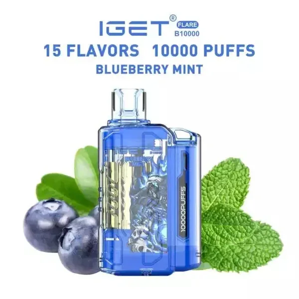 Iget Flare B10000 � Blueberry Mint